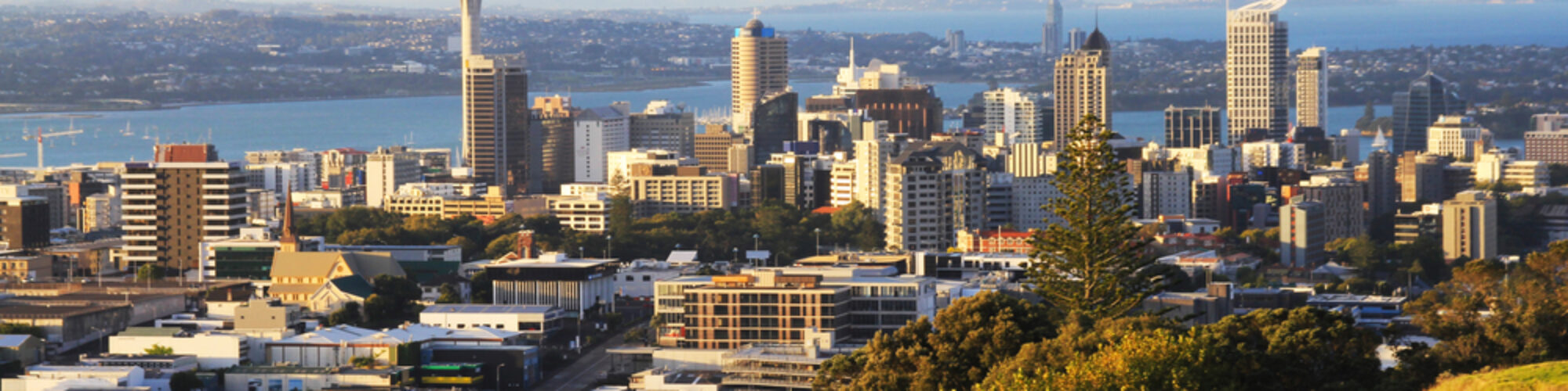 When You Are Holidaying In Auckland