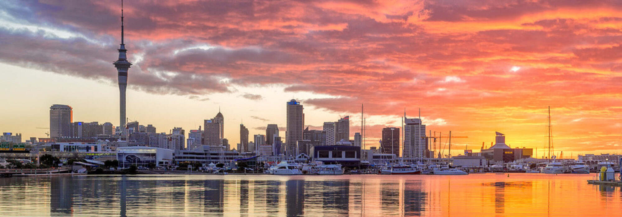 What’s Happening In Auckland Over The Next 4 Weeks.