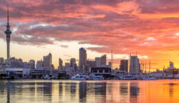 auckland_things_to_do_in_the_next_4_weeks