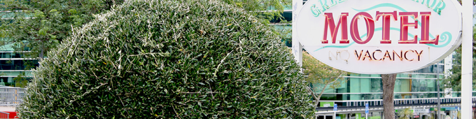 Do You Need to Rent a Room in Auckland?