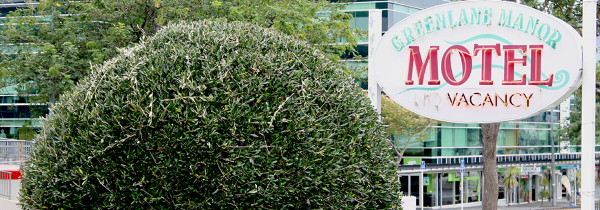 Do You Need to Rent a Room in Auckland?