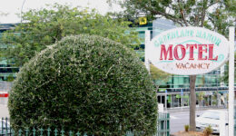 Do_You_Need_to_Rent_a_Room_in_Auckland