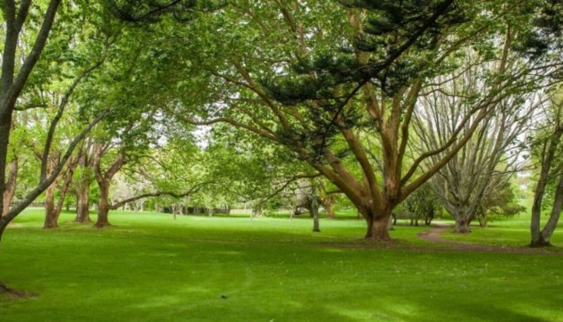 Cornwell_park_image Cornwell_park_image
