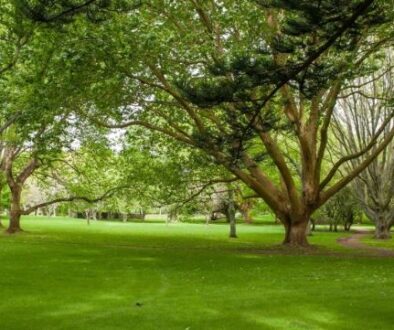Cornwell_park_image Cornwell_park_image