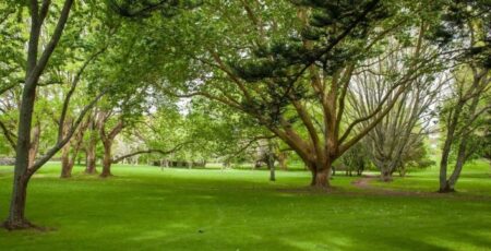 Cornwell_park_image Cornwell_park_image