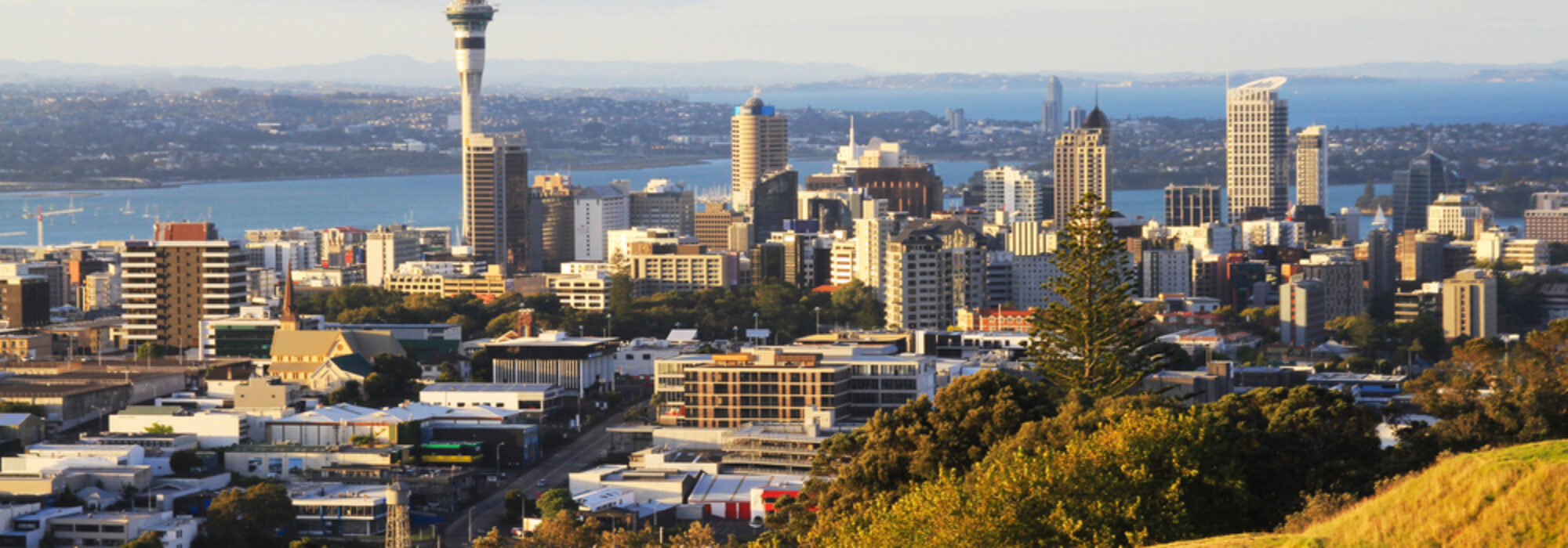 Your Preferred Auckland City Accommodation