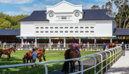 ellerslie_race_course_motel