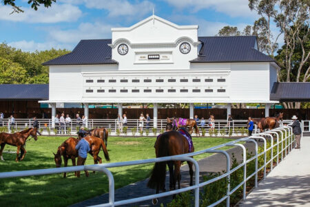 ellerslie_race_course_motel ellerslie_race_course_motel
