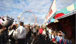 ASB Showground - Auckland Showground
