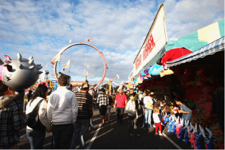 ASB Showground - Auckland Showground ASB Showground - Auckland Showground