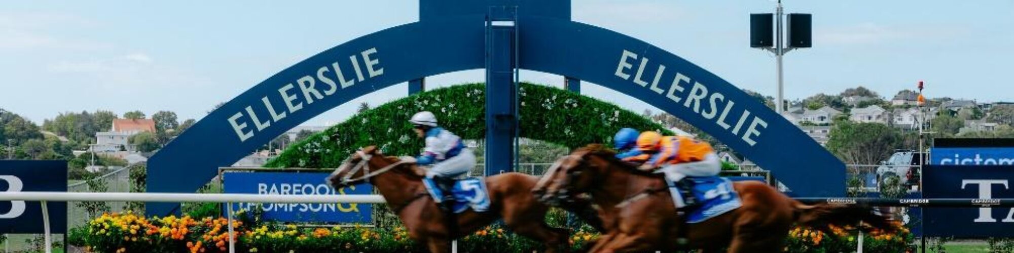 Accommodation For SkyCity New Year’s Day Races: Kick Off Your Year with Thrills