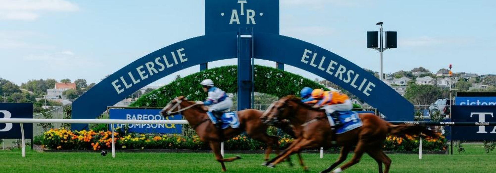 Accommodation For SkyCity New Year’s Day Races: Kick Off Your Year with Thrills