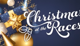 12772169-8f5c-40fc-8db2-a1cef7d809c9