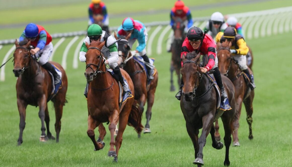 470832325_1002961938543873_5325407419918983042_n