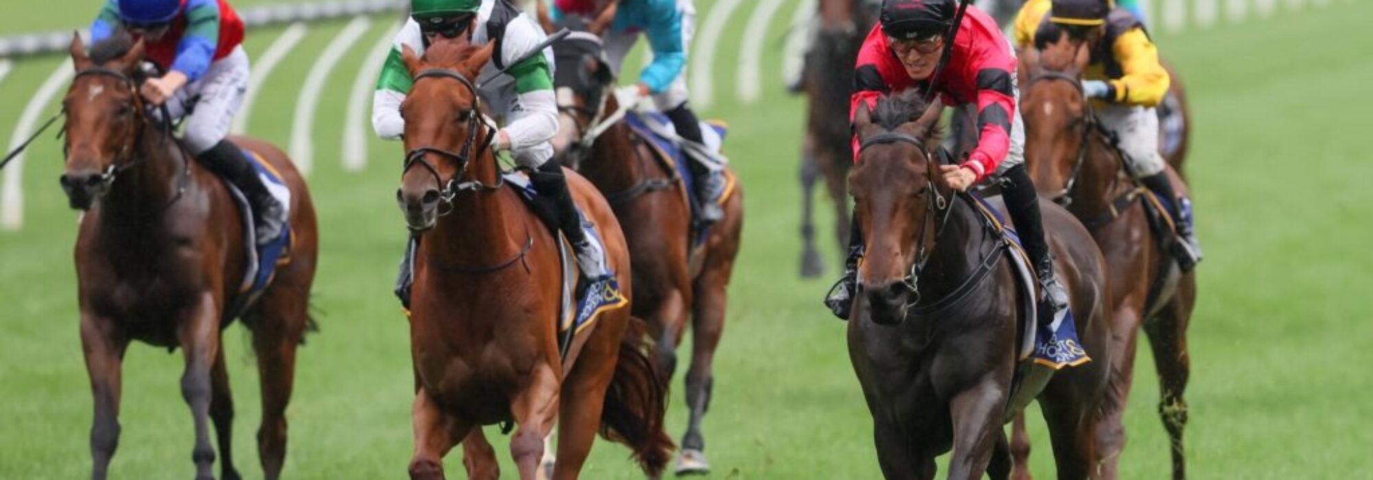 Winter Championships Finals – The Highlight of the Winter Racing Season