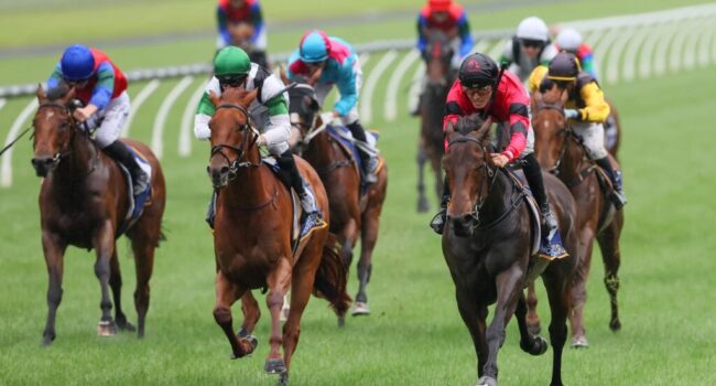 470832325_1002961938543873_5325407419918983042_n