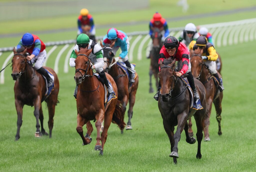 470832325 1002961938543873 5325407419918983042 n