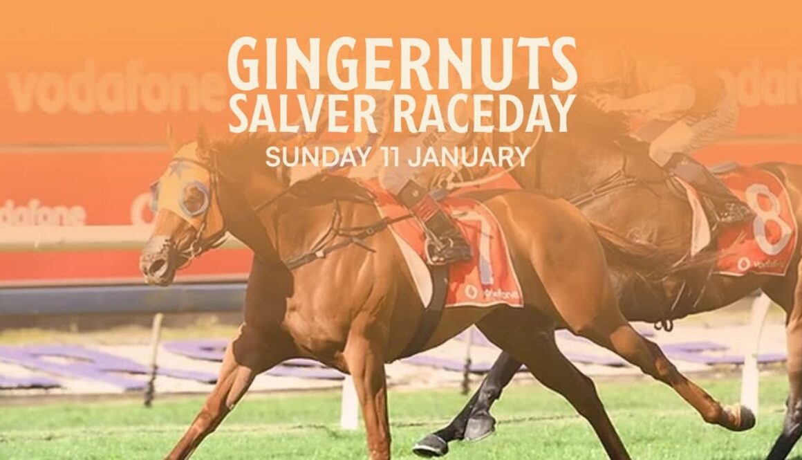 558959033_1198889052262428_9009953426716028304_n