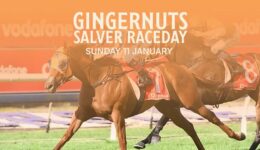 558959033_1198889052262428_9009953426716028304_n