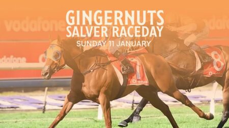 558959033_1198889052262428_9009953426716028304_n