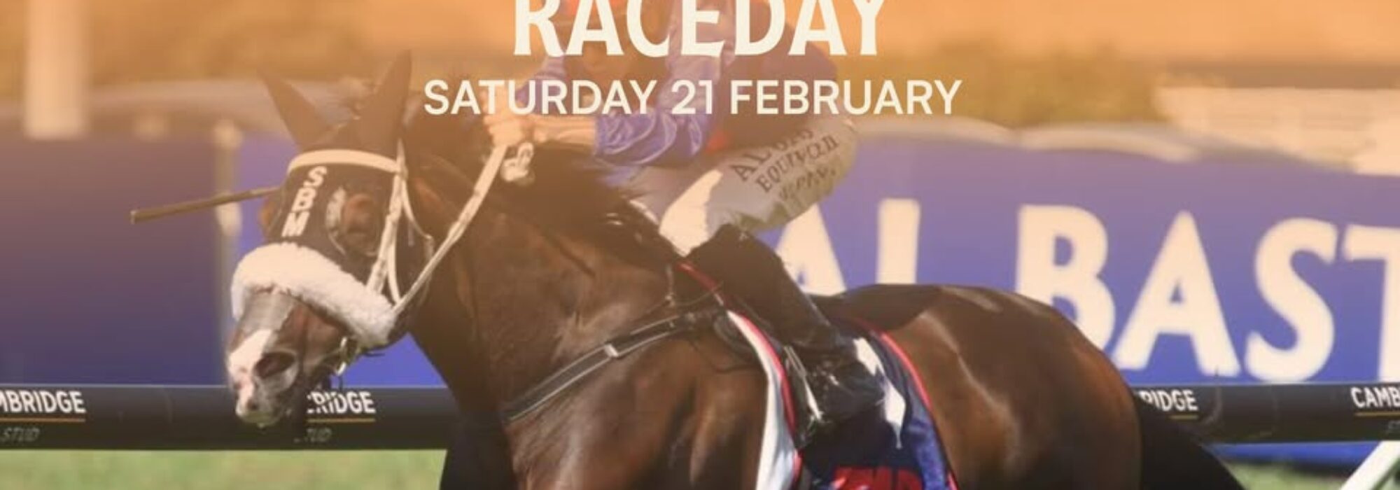 Eagle Technology Raceday: Your Guide to the Event at Ellerslie