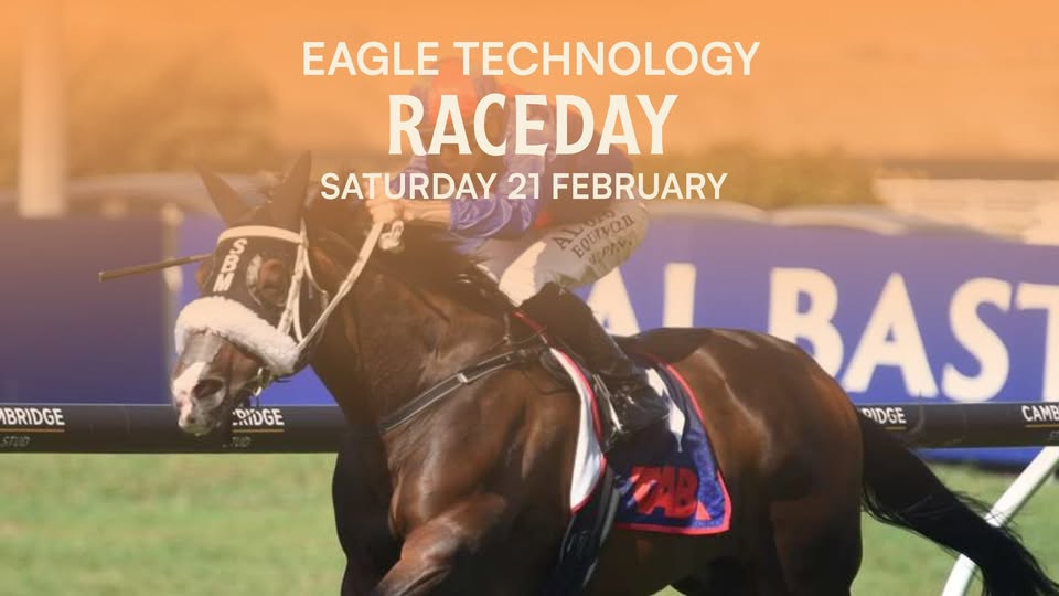 560169467 1198894412261892 2275165723211023546 n