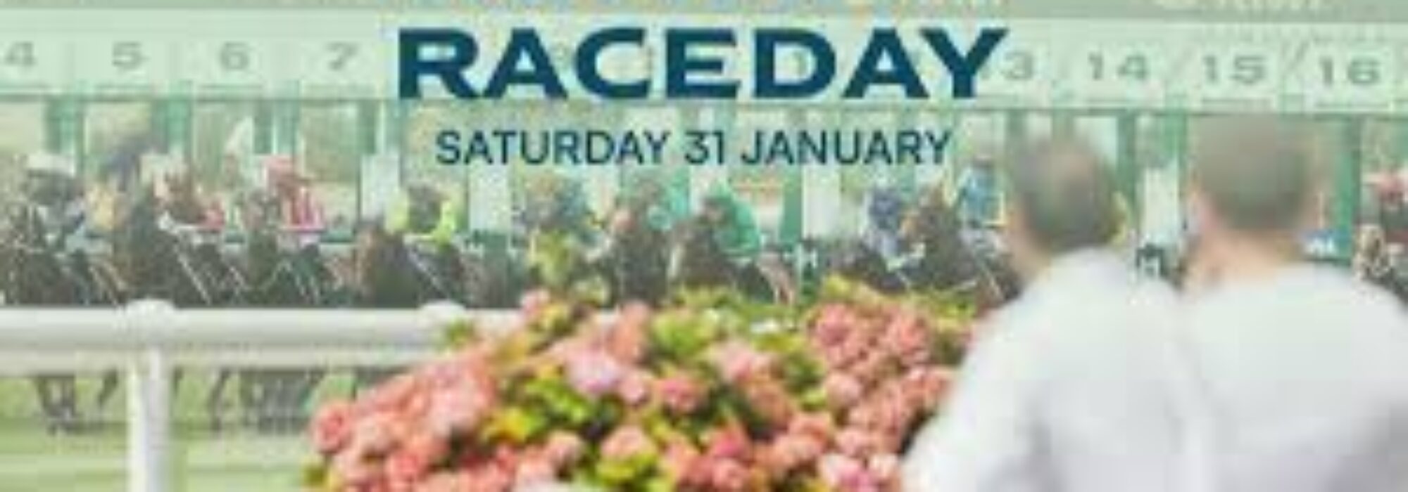 Ellerslie Summer Raceday: Your Complete Event Overview