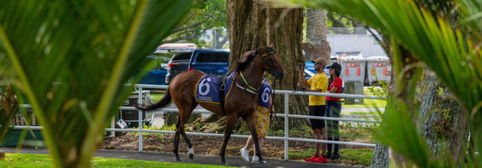May Raceday – A Midweek Racing Experience at Ellerslie