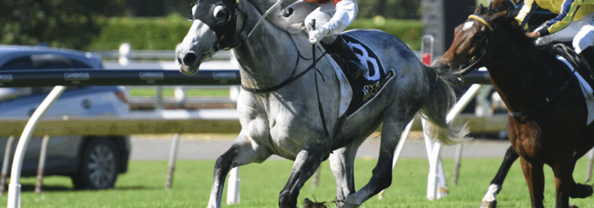 Autumn Raceday – A Classic Day of Racing at Ellerslie