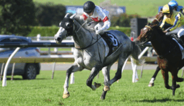 Screenshot-2024-05-16-133612