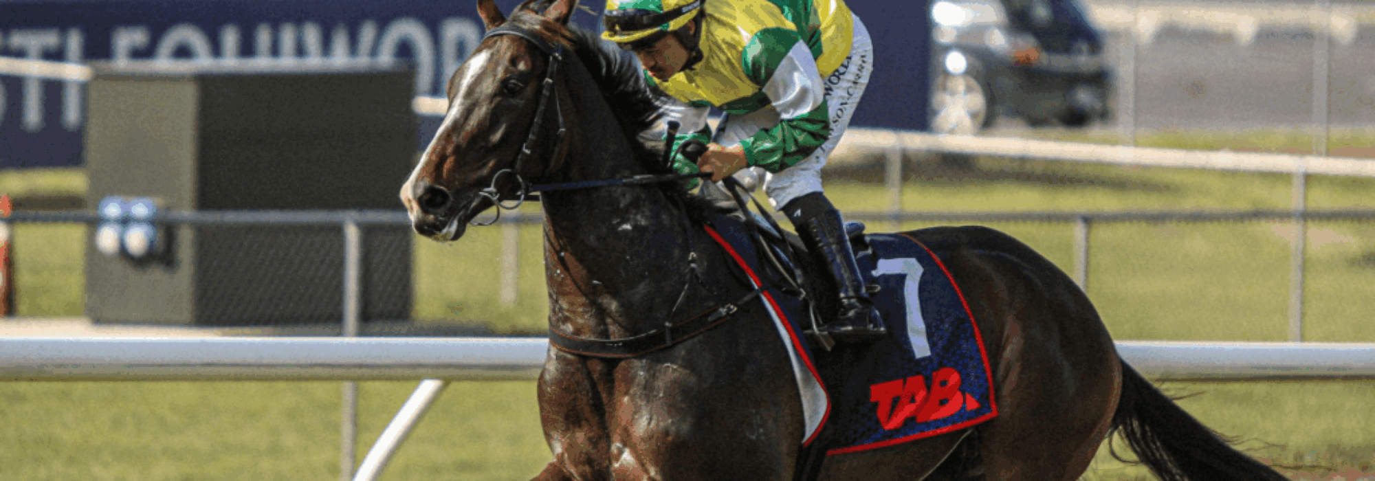 June Raceday – Winter Racing at Ellerslie