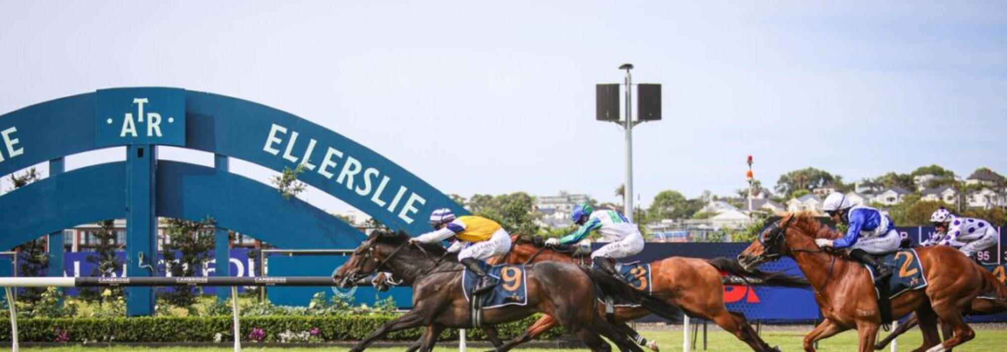 Going to the Races at Ellerslie? Stay at Greenlane Manor Motel